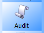 7. Audit button